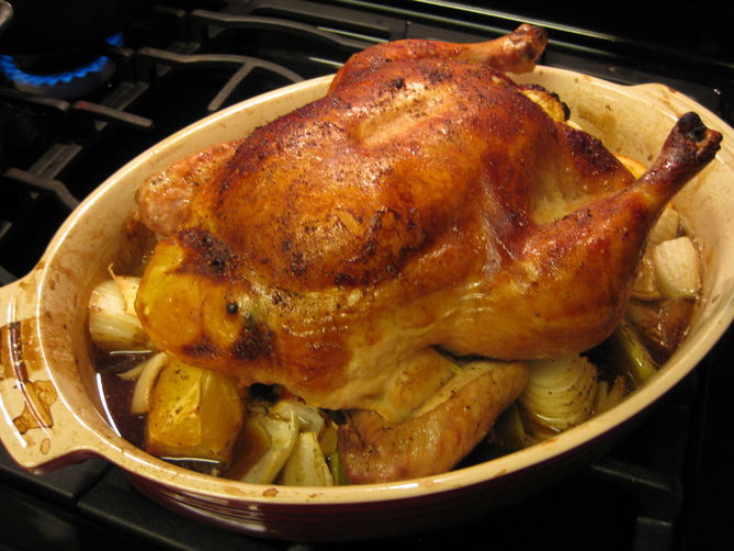 Stout Little Hen