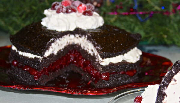 Spiced Cranberry Chocolate Cake
