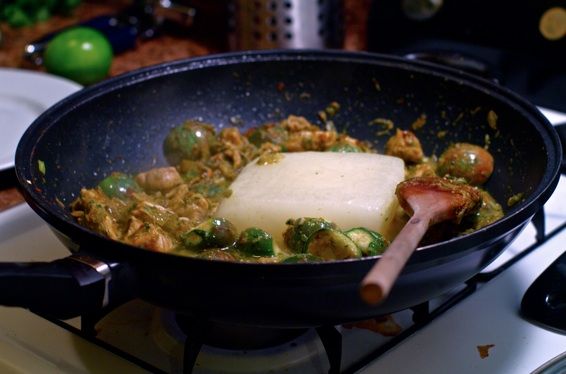 Caramelized Leek & Chicken Curry