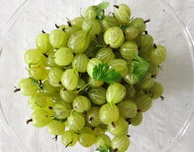 Gooseberry Elderflower Syllabub