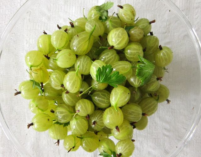 Gooseberry Elderflower Syllabub
