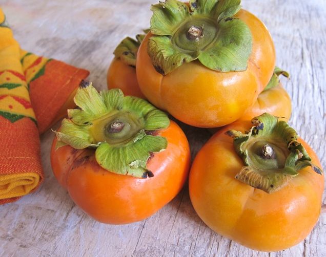 Persimmon Pudding