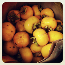 Spiced Persimmon Butter