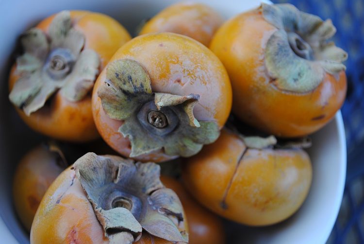 Old Fashioned Persimmon Pudding