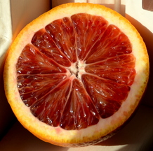 Blood Orange Prosecco Jelly