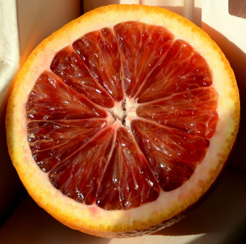 Blood Orange Prosecco Jelly