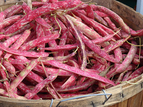Fresh_cranberry_beans