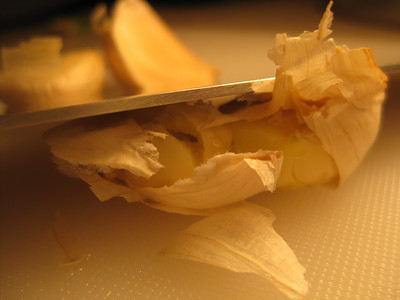 Garlic