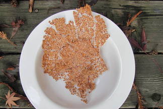 Flax Seed Chips: An Adventure in Cooking from Fäviken