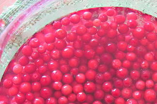 Quick Berry Liqueurs: An Adventure in Cooking from Fäviken