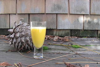 Egg-Yolk Liqueur: An Adventure in Cooking from Fäviken