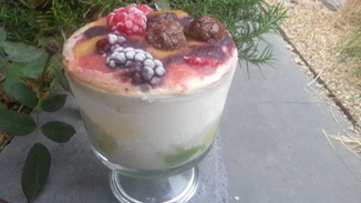 SUGAR - FREE Simply Bland Yummilicious Banana Ice Cream Trifle