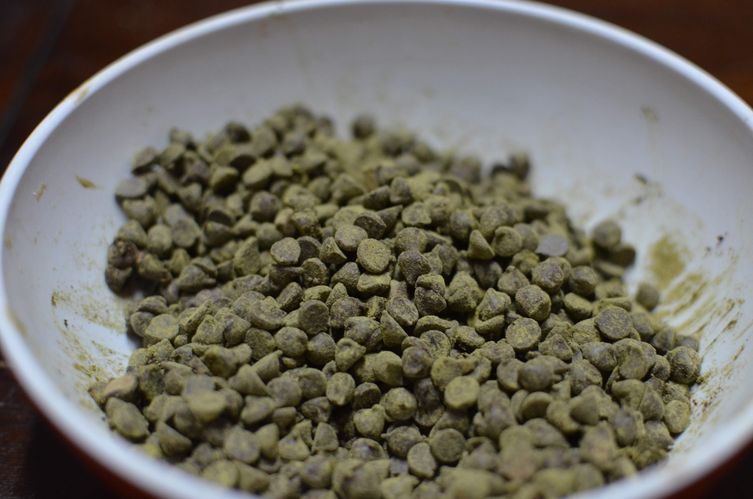 Matcha (Mint) Chip Cookie
