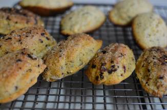 Pink Citrus Madeleines