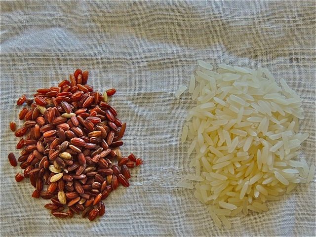 Genmaicha Pilaf