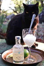 Coconut and Kaffir Lime Balsamic Granita