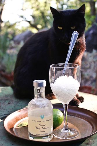 Coconut and Kaffir Lime Balsamic Granita