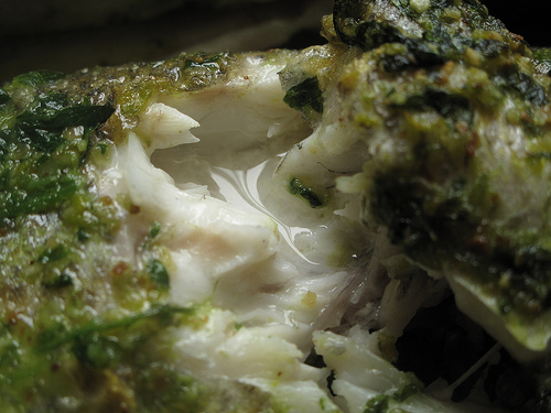 Chili pesto seabass