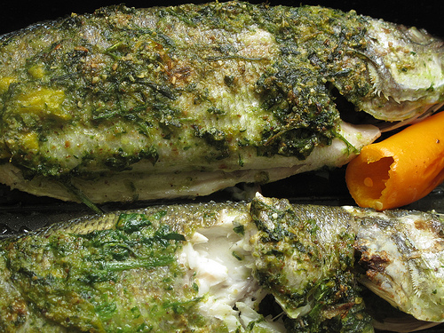 Chili pesto seabass