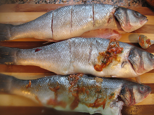 Jerk Fish