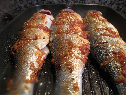 Jerk Fish