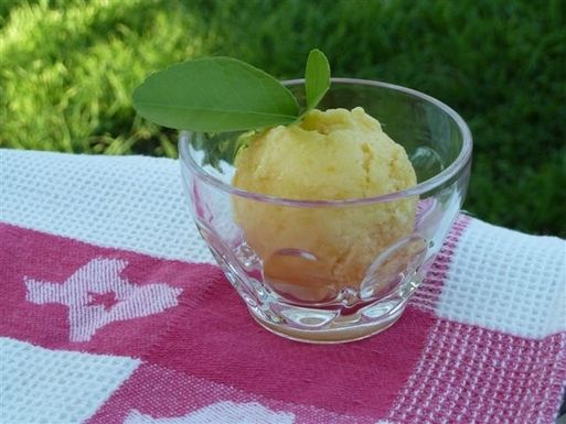 Mango Coconut Sorbet