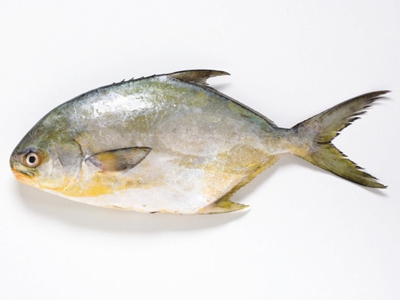 Roasted Pompano with Blood Orange Avacado Salsa, Cilantro Butter & Spicy Plantains