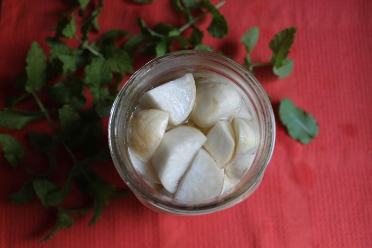 Minty Turnip Lactopickles