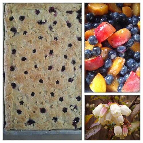 Lavender & Verbena Scented Blueberry-Apricot Slab Pie