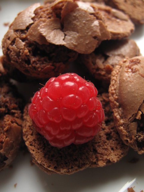 Chocolate and Raspberry Macaron/Meringue Mess