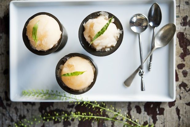 Citrus Tarragon Sorbet
