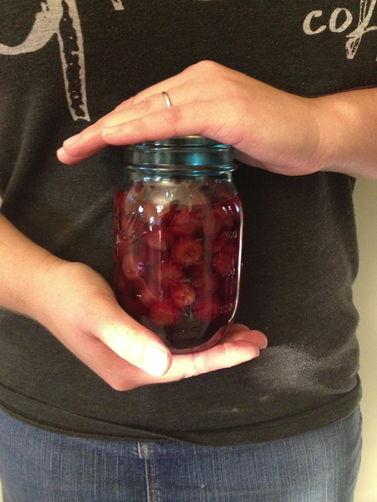 Sour Cherry, Coriander & Candied Ginger Jam