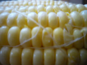 Spicy Roasted Corn Soup for One 