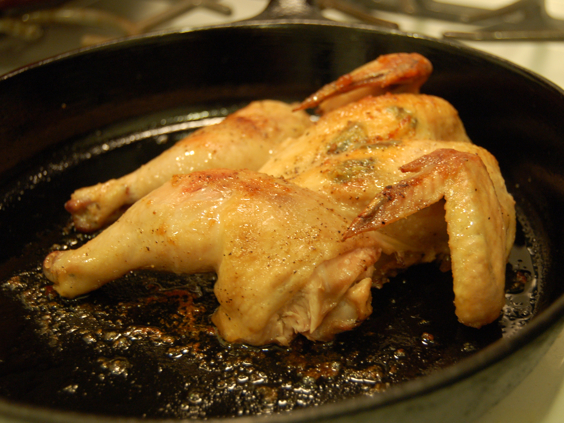 Poussin with Arugula and Bread Salad