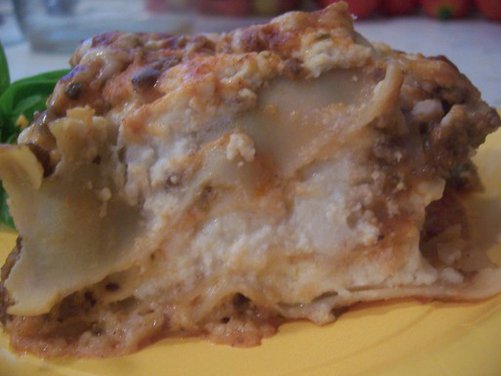 Creamy Tomato Lasagna 