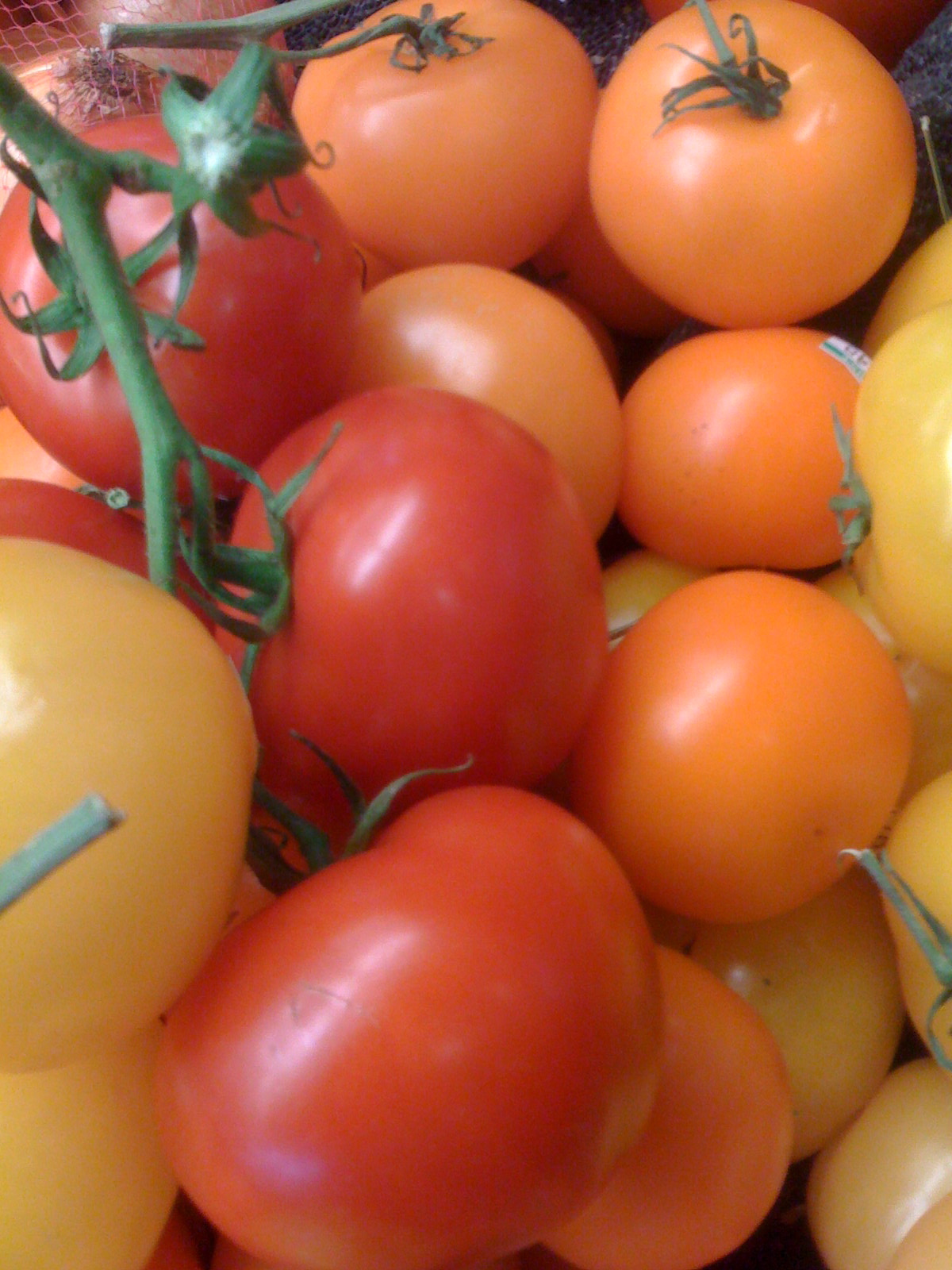 Piedmont Apple Catsup