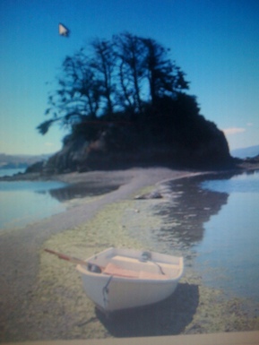 Hog_island_001