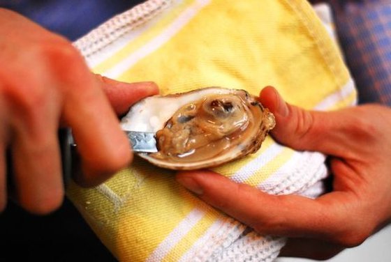 Our Shuck & Slurp method for eating Oysters