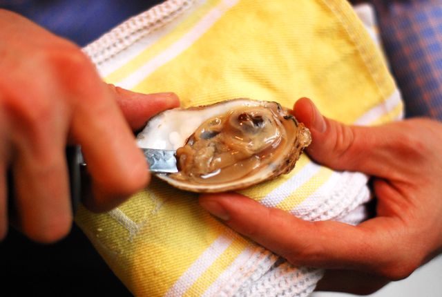 Our Shuck & Slurp method for eating Oysters
