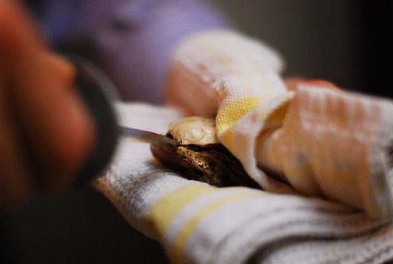 Our Shuck & Slurp method for eating Oysters