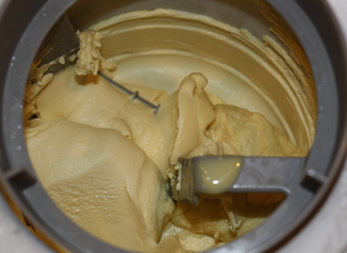 Frozen Caramel Coconut Custard