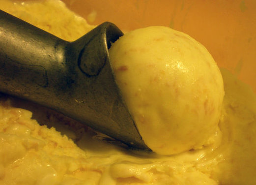 Toasted Coconut Gelato