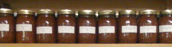 Salsa