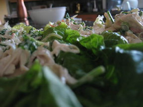 Cilantro Chicken Salad in Lettuce Cups