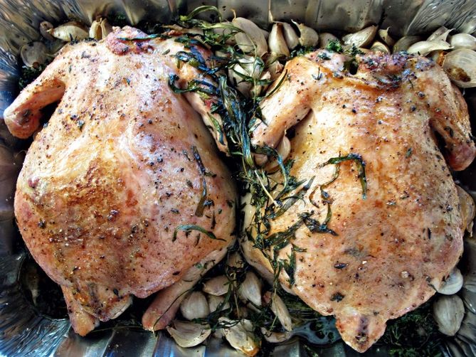 Chicken with Fennel, Pernod and 40 Cloves of Garlic