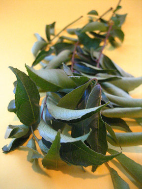 Curryleaves