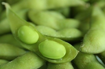 Umami Edamame Dip