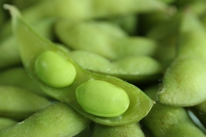 Umami Edamame Dip