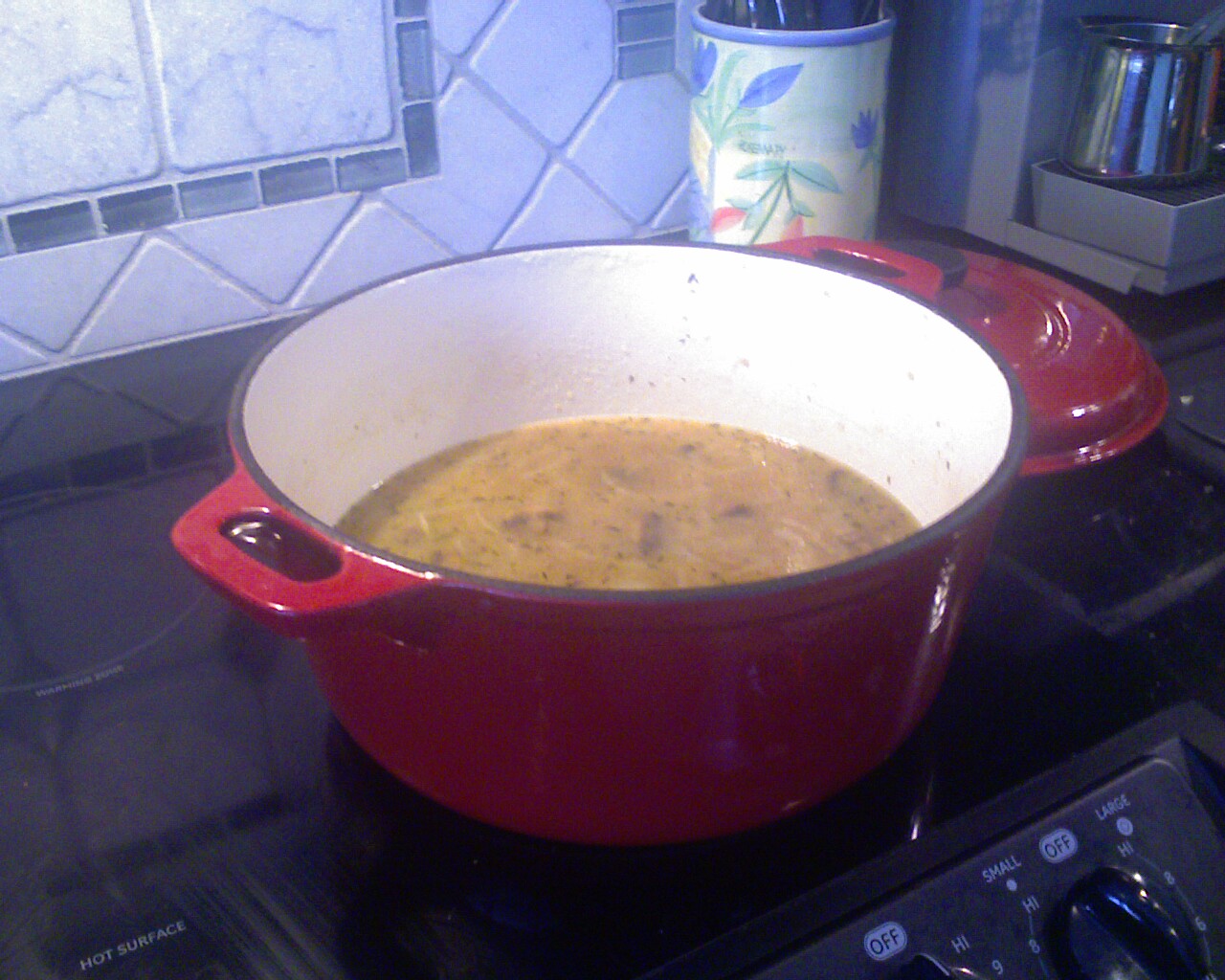 Onion and Mushroom Soup