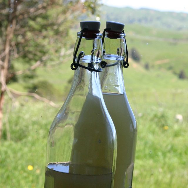 Poor Man's Kombucha